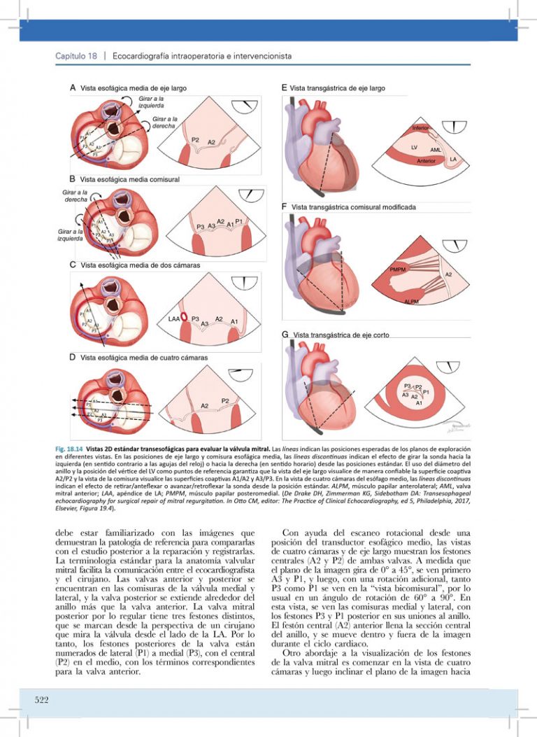 Libro Manual de ecocardiografía clínica 6a edición en Campus