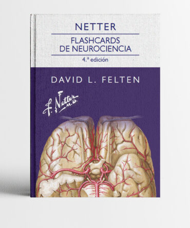 Portada del libro Netter Flashcards de neurociencia 4a edición