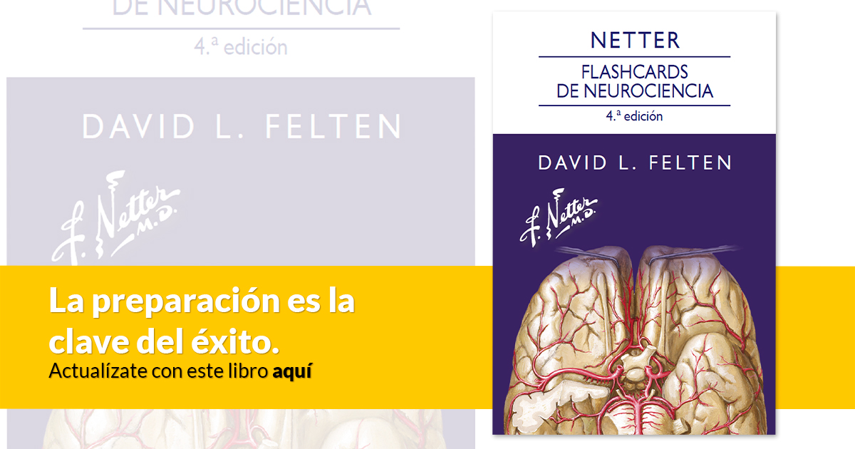 Libro Netter Flashcards de neurociencia 4a edición en Campus