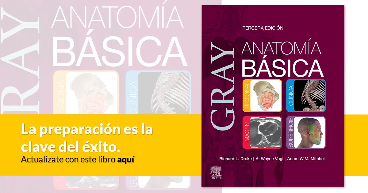 narrativaespana.com product image